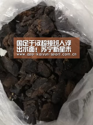 国足于汉超接班人浮出水面!苏宁新星未来将挑起边路大梁|开云(图3) 开云体育