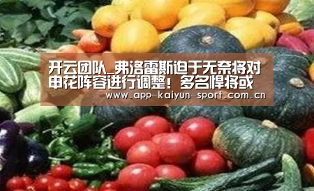 开云团队_弗洛雷斯迫于无奈将对申花阵容进行调整!多名悍将或因此被重用(图1) 开云公司